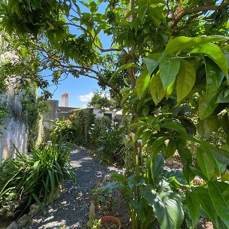 Casa Do Toupeiro Πανσιόν 3*