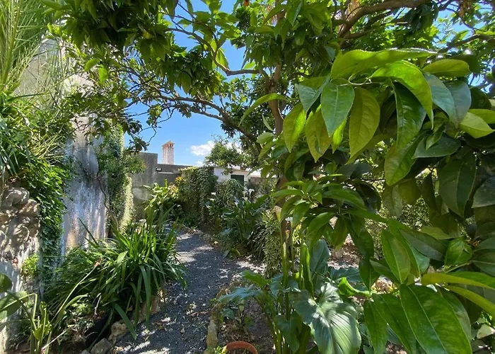 Casa Do Toupeiro בית הארחה 3*